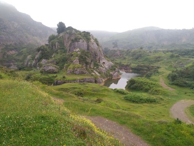 Arboleda