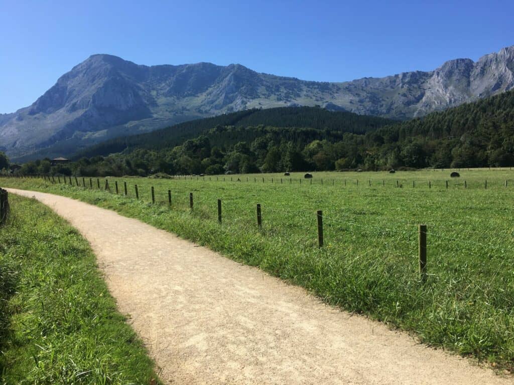 Arrazola